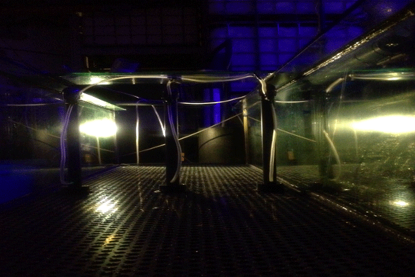 Mit Hilfe der Bionik und Strömungslehre entwickelte Anwendungen zum Aquafarming.